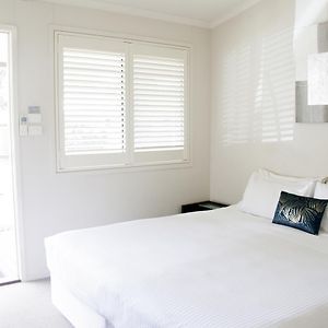Modern King Studio